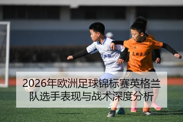nian-ou-zhou-zu-qiu-jin-biao-sai-ying-ge-lan-dui-xuan-shou-biao-xian-yu-zhan-shu-shen-du-fen-xi-2-246.jpg
